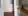 Bloom detail.jpg.webp